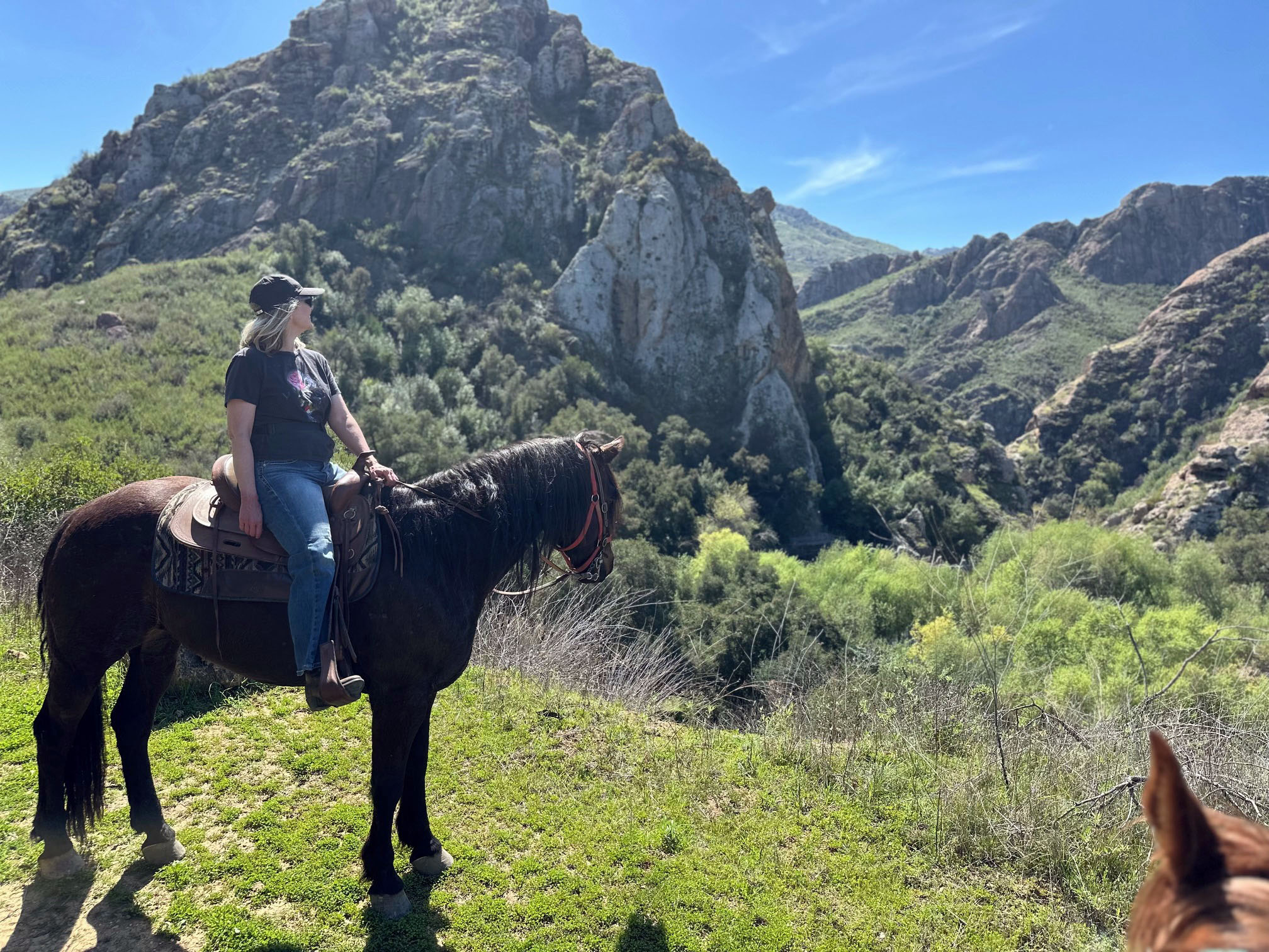 Malibu Creek