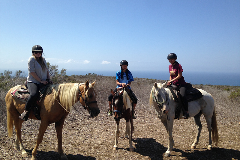 Maliburiders Malibu Zuma Canyon Closed